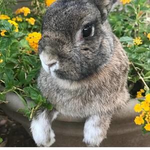 Meet your Posher, Marissa